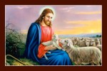 Chúa chăn cừu -C17